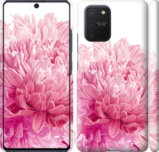 

Чохол Хризантема на Samsung Galaxy S10 Lite 2020 904185