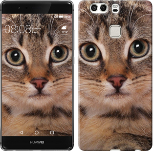 

Чохол Смугастий котик на Huawei P9 Plus 175783