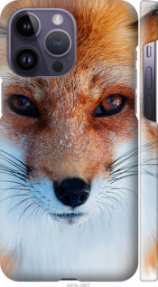 

Чехол Рыжая лисица для iPhone 14 Pro Max 1482559