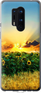 

Чехол Украина для OnePlus 8 Pro 1196052