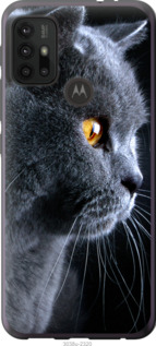 

Чехол Красивый кот для Motorola Moto G20 1233817
