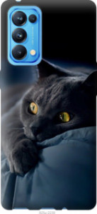 Чехол Дымчатый кот для Oppo Reno5 Pro