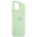 Фото Чехол Silicone Case Full Protective (AA) для Apple iPhone 11 (6.1") (Зеленый / Pistachio) на vchehle.ua