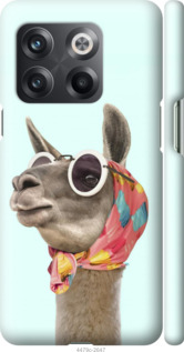 

Чохол Модна лама на OnePlus 10T 1502480