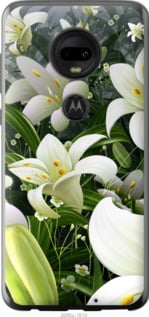 

Чохол Білі лілії для Motorola Moto G7 701243