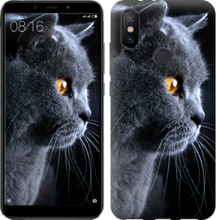 

Чехол Красивый кот для Xiaomi Mi 6X 626673