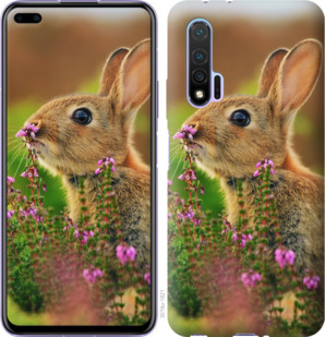 

Чехол Кролик и цветы для Huawei Nova 6 879615