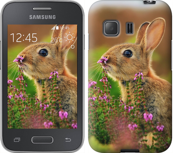 

Чохол Кролик і квіти на Samsung Galaxy Young 2 G130h 304720