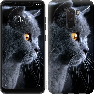 

Чохол Гарний кіт на Xiaomi Pocophone F1 667238