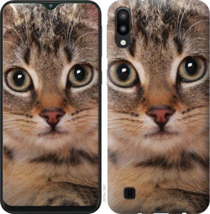 

Чехол Полосатый котик для Samsung Galaxy A01 A015F 894900
