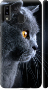 Чехол Красивый кот для Samsung Galaxy A20e A202F