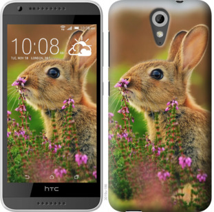 

Чехол Кролик и цветы для HTC Desire 620G 924362