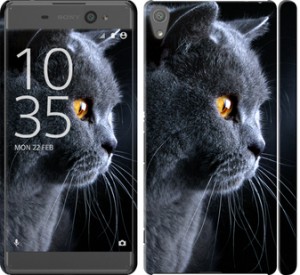 Чехол Красивый кот для Sony Xperia XA Dual