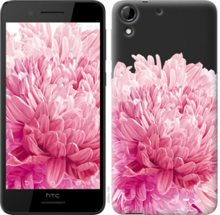 

Чохол Хризантема на HTC Desire 728G 844241