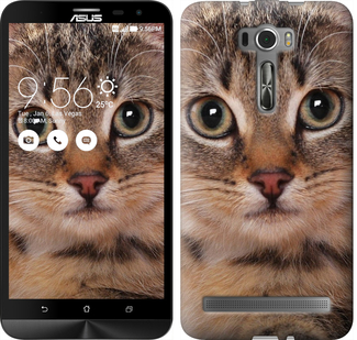 

Чехол Полосатый котик для Asus ZenFone 2 Laser ZE601KL 655460