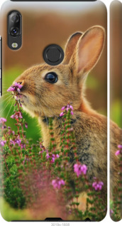 

Чехол Кролик и цветы для Lenovo K5 Pro 695475