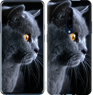 Чехол Красивый кот для OnePlus 8