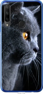 

Чехол Красивый кот для Huawei Honor 9X 791383