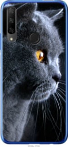 Чехол Красивый кот для Huawei Honor 9X