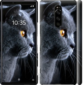 Чехол Красивый кот для Sony Xperia XZ4