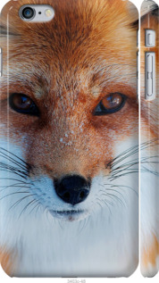 Чехол Рыжая лисица для iPhone 6 Plus