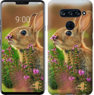 

Чехол Кролик и цветы для HTC U12 Plus 781386