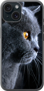 

Чехол Красивый кот для iPhone 15 1693910
