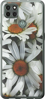 

Чохол Ромашки v2 на Motorola G9 Power 1624462