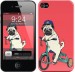 Чехол Мопс на велосипеде для iPhone 4