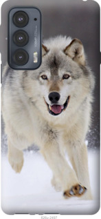 

Чехол Бегущий волк для Motorola Edge 20 1588096
