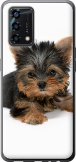 

Чехол Щенок йоркширского терьера для Oppo A95 1612354