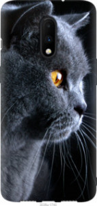 Чехол Красивый кот для OnePlus 7