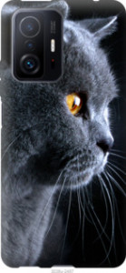 Чехол Красивый кот для Xiaomi 11T Pro