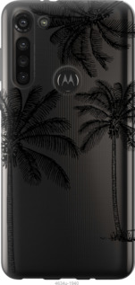 

Чехол Пальмы1 для Motorola G8 Power 1572068