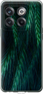 

Чехол Колоски для OnePlus 10T 1580128