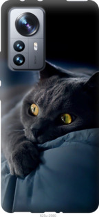 Чохол Димчастий кіт на Xiaomi 12 Pro