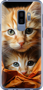 Чехол Котики 2 для Samsung Galaxy S9 Plus