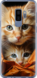 Чехол Котики 2 для Samsung Galaxy S9 Plus