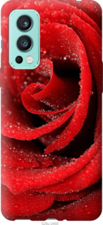 

Чехол Красная роза для OnePlus Nord 2 1574196