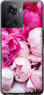 

Чохол Рожеві півонії на OnePlus Ace 1695978