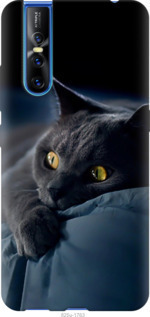 Чехол Дымчатый кот для Vivo V15 pro