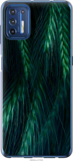 

Чохол Колоски на Motorola G9 Plus 1580152
