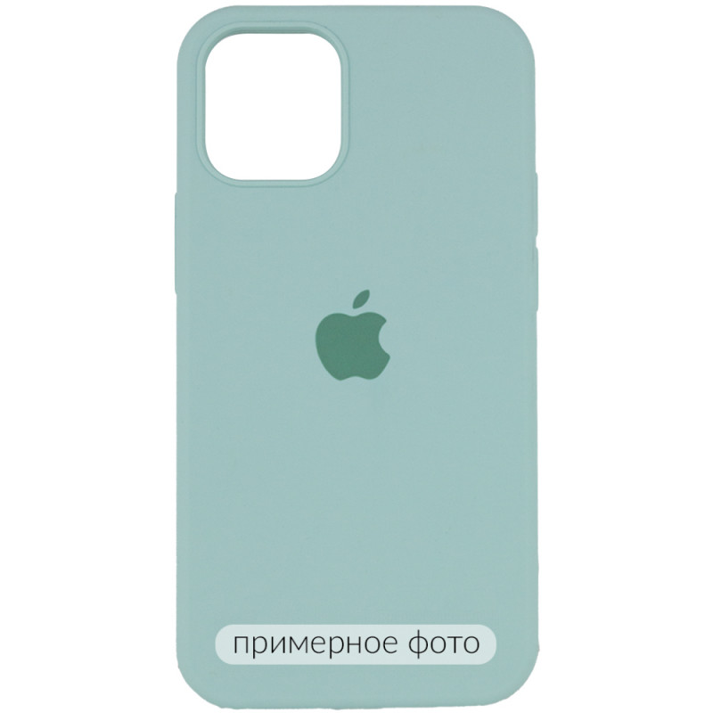 Чехол Silicone Case Full Protective (AA) для Apple iPhone 16 Plus (6.7") (Бирюзовый / Beryl)