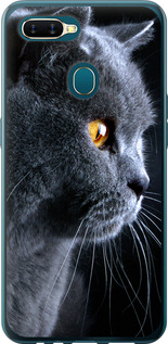 Чехол Красивый кот для Oppo A5S