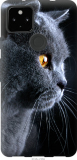 

Чохол Гарний кіт на Google Pixel 5A 1243439