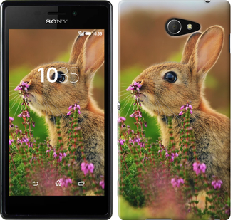 

Чохол Кролик і квіти на Sony Xperia M2 D2305 150031