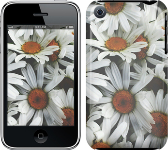 

Чохол Ромашки v2 на iPhone 3Gs 127066