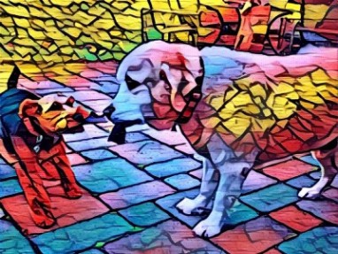 Аналог Prisma от Google умеет смешивать разные стили