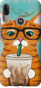 Чохол Зеленоокий кіт в окулярах на Motorola G8 Power