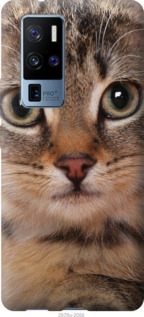 

Чохол Смугастий котик на Vivo X50 Pro Plus 1085357